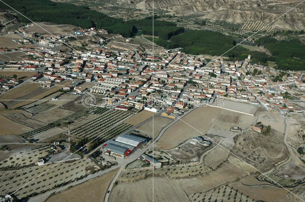 Cortes de Baza