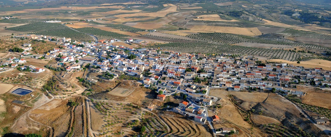 Panorámicas: Campo Cámara
