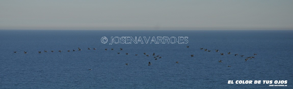 Panorámicas: Varias
