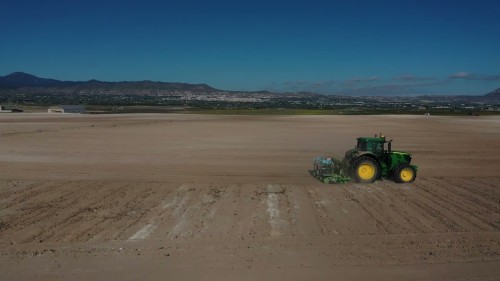 plantacion de pimientos tierra