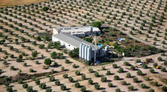 foto de instalacion agricola desde el aire